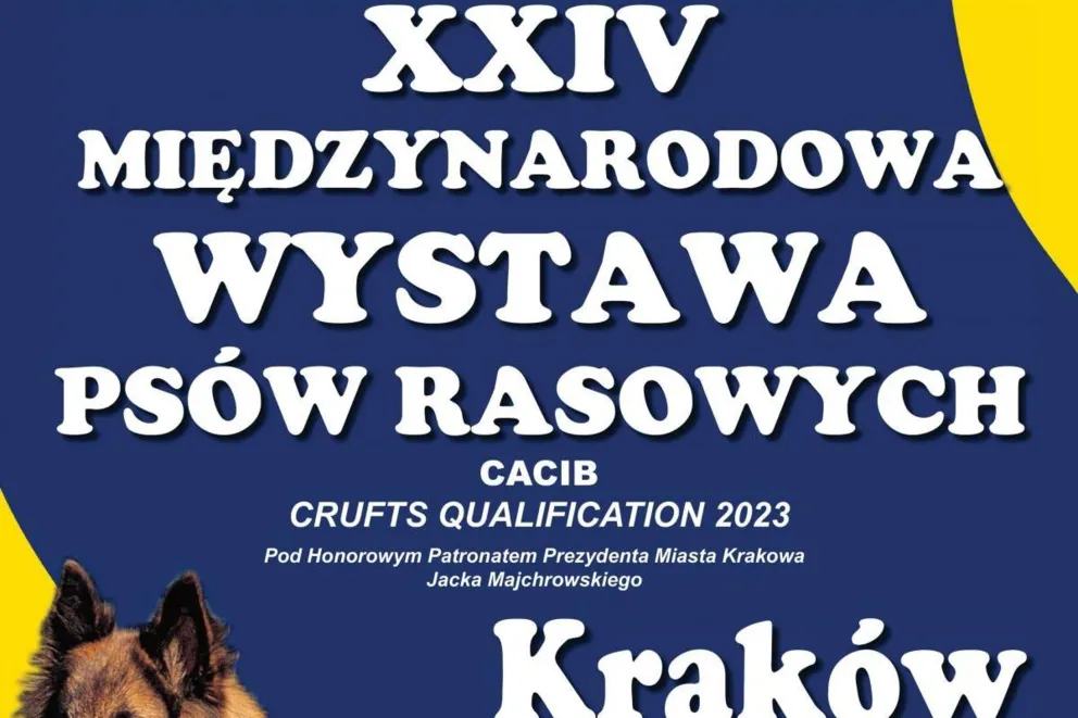 XXIV Międzynarodowa Wystawa Psów Rasowych
