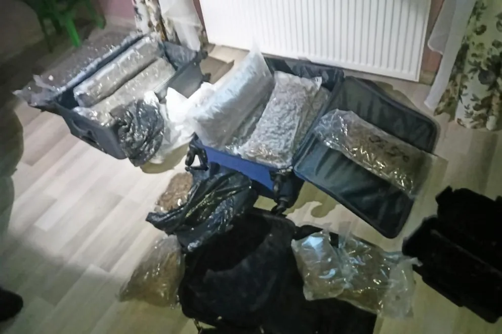 14 kilogramów marihuany znalazła policja w wadowickim mieszkaniu