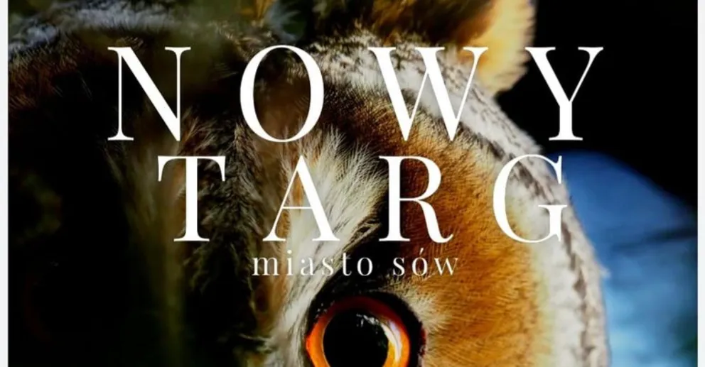 "Nowy Targ - miasto sów" - na ekranie 