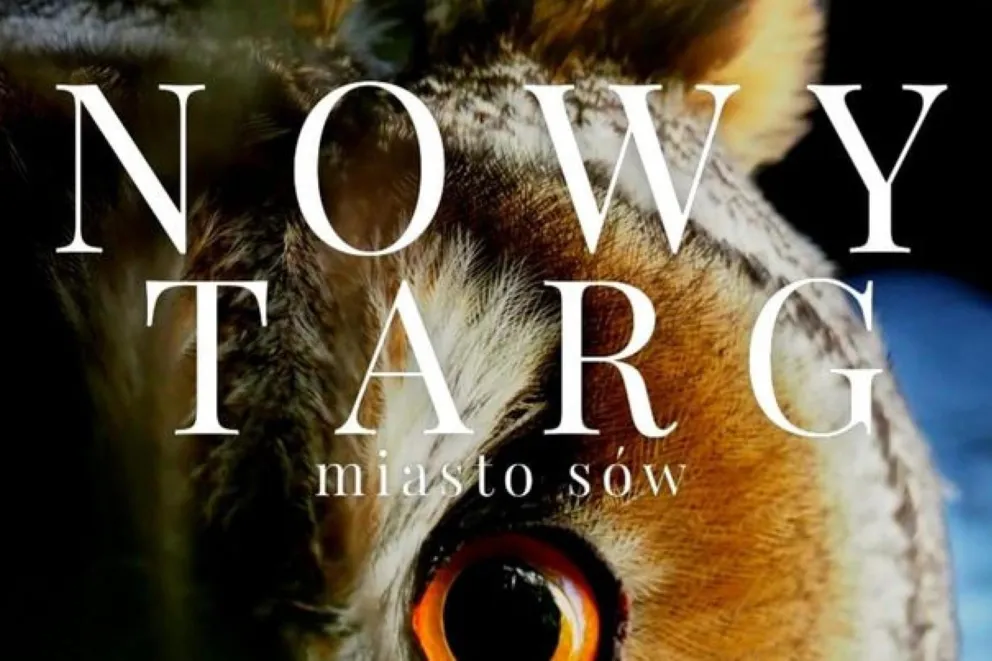 Film "Nowy Targ - Miasto Sów"