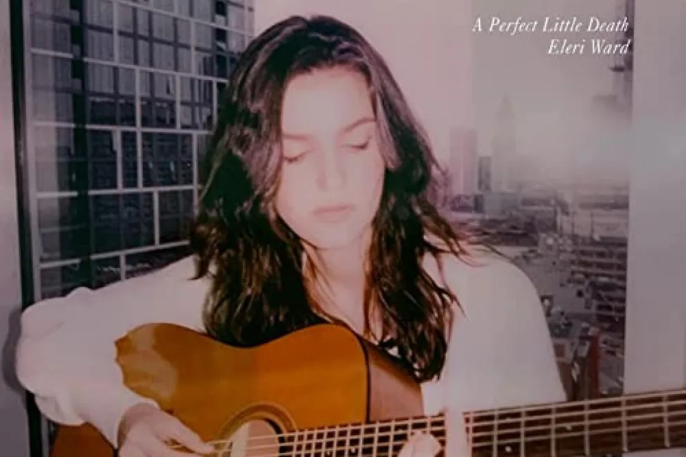 Eleri Ward - A Perfect Little Death