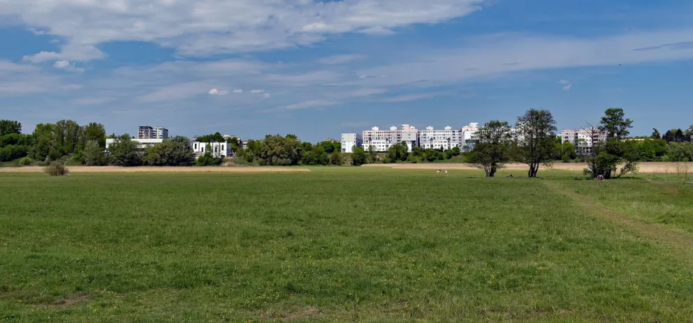 Łąki Nowohuckie - idealne miejsce wakacyjnych zabaw