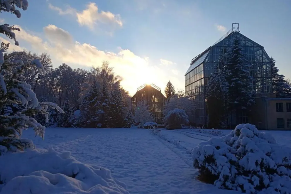 Botanicy z Krakowa organizują pomoc dla kolegów we Lwowie