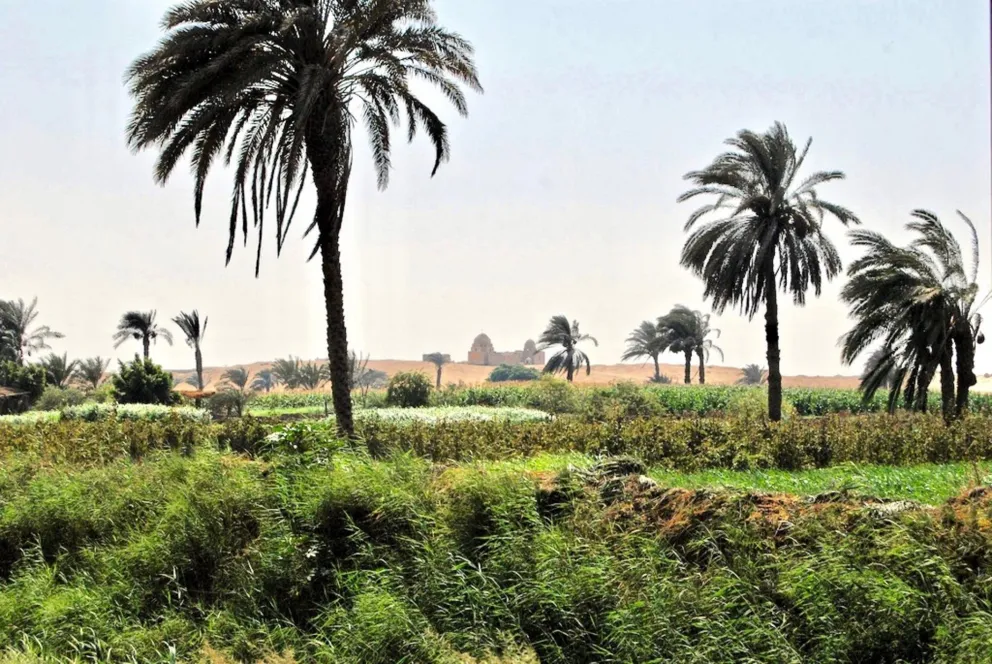 "W kręgu nauki"  Audycja z dn. 11.02. 2023 r.