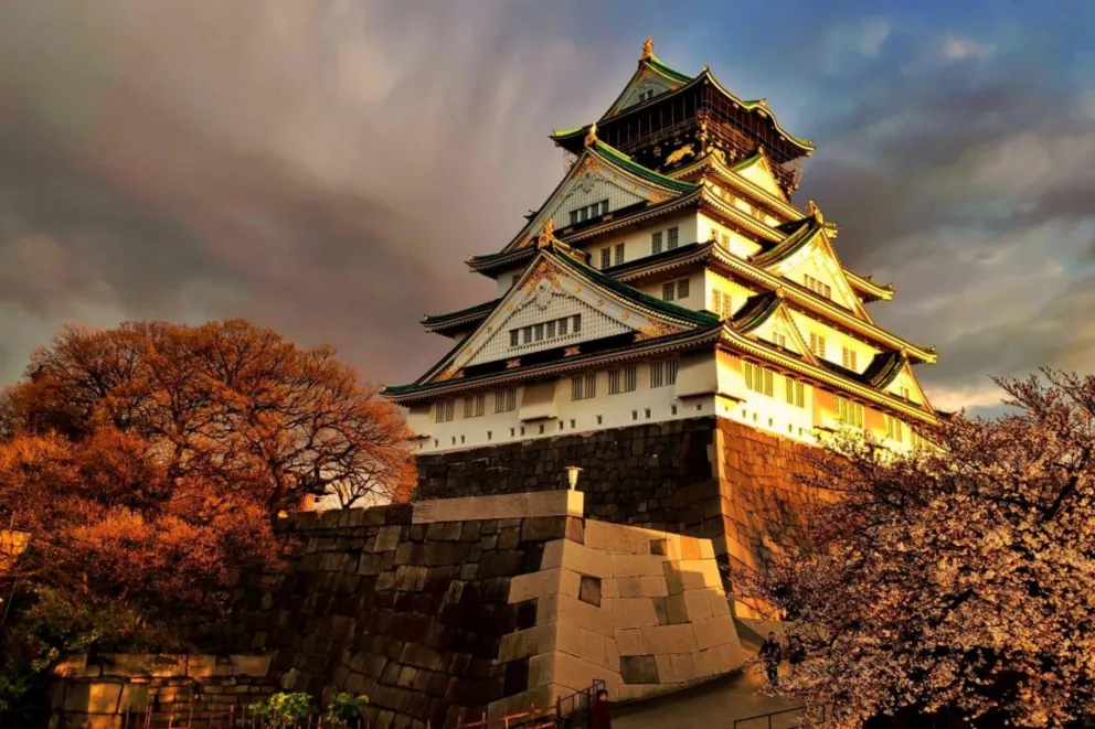 Do Japonii z przewodnikiem - Kazik Pawłowski