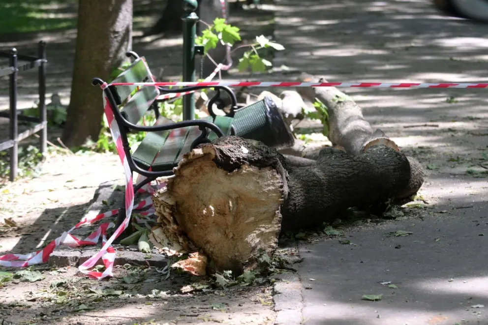W Krakowie trwa sprzątanie po.... lipcowej nawałnicy
