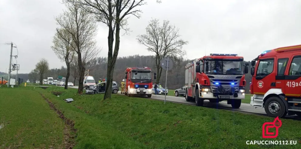 Śmiertelny wypadek na DK 75 w Okocimiu