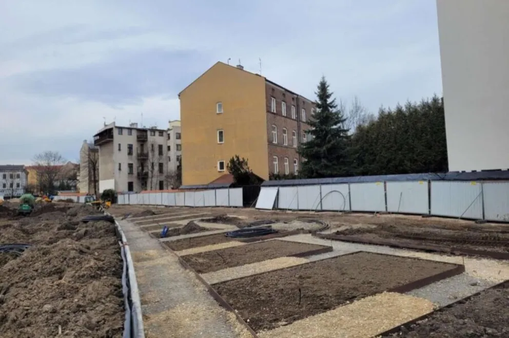 125 drzew, 1600 krzewów i tysiące kwiatów znajdą się w parku im. Wisławy Szymborskiej
