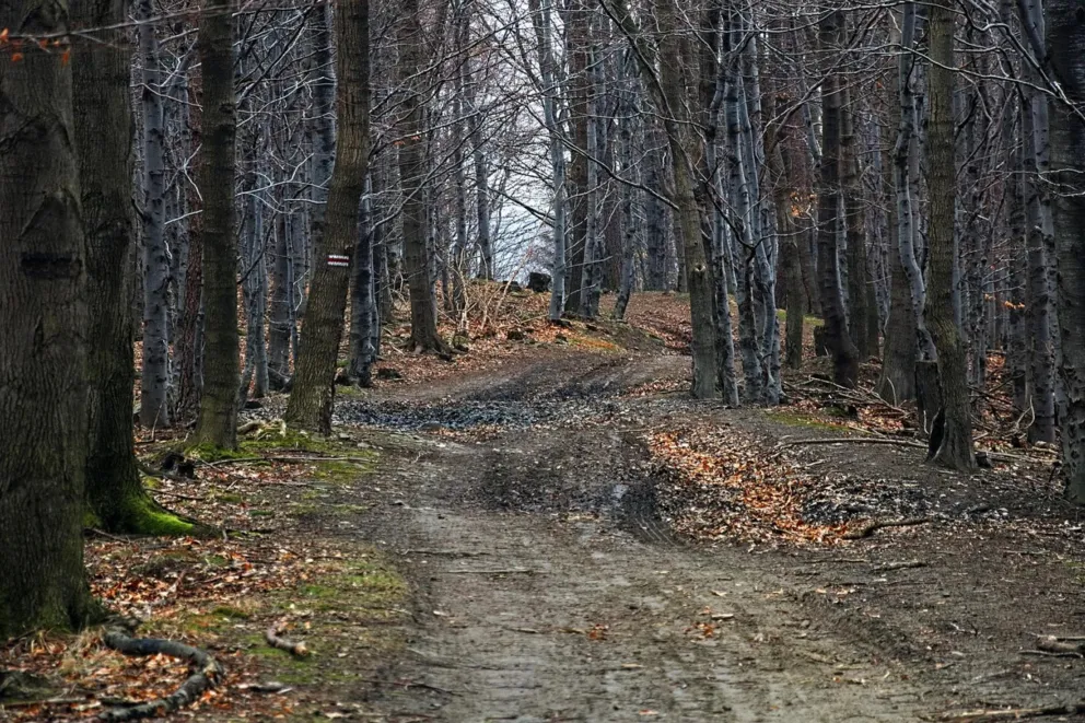 Słonecznie w Beskidach; warunki na szlakach na ogół dobre