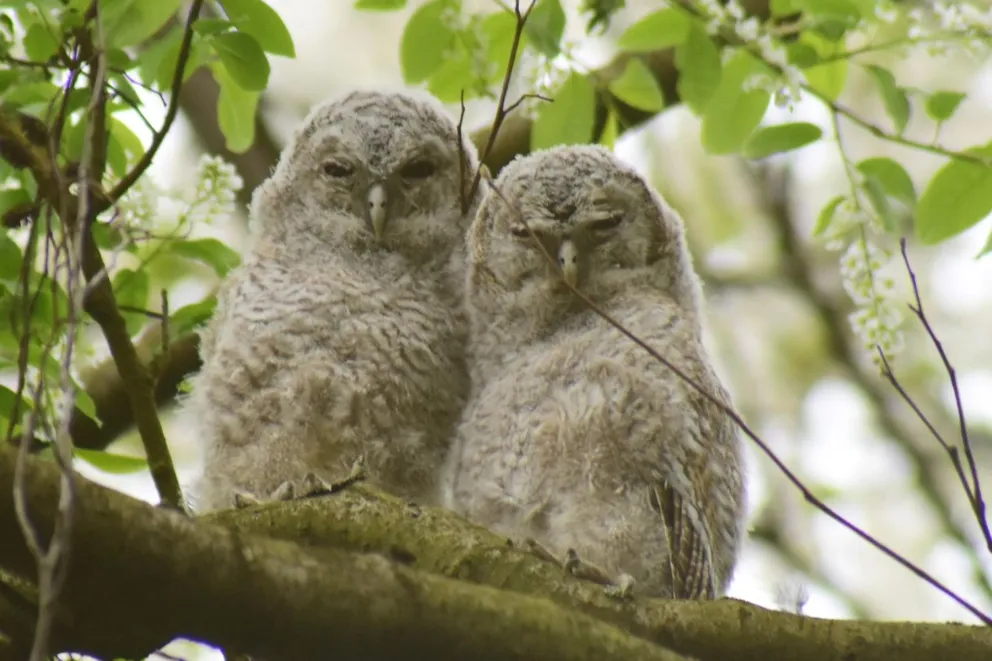 Najpiekniejsze zdjęcia i te ...niewykonane  fotografie, istniejące "pod powiekami"