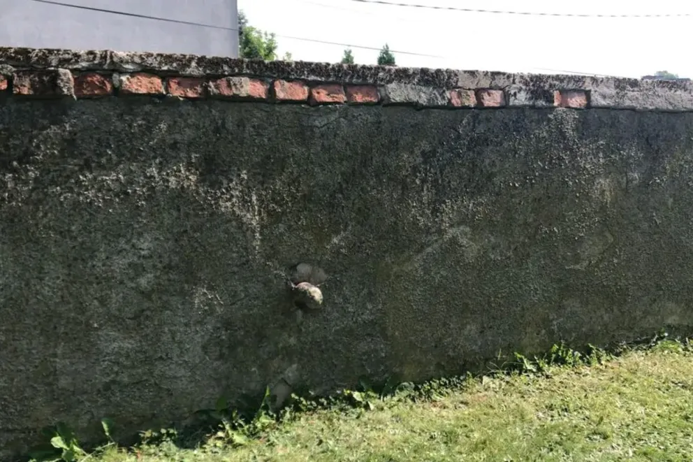 Niecodziennie znalezisko w Babicach w powiecie chrzanowskim