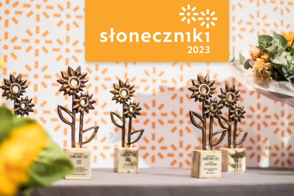Słoneczniki 2023