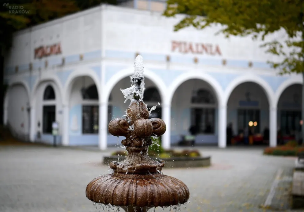 Wyjazdy do sanatoriów wstrzymane do odwołania z wyjątkiem pacjentów po wypadkach