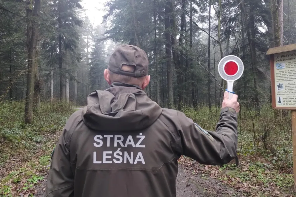 Tratują roślinność, płoszą zwierzęta i zakłócają wypoczynek - rozpoczął się sezon nielegalnych rajdów quadami