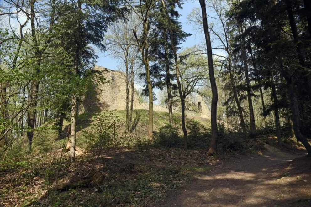 W weekend warto się wybrać do Lanckorony, zwiedzanie ruin zamku będzie bezpłatne