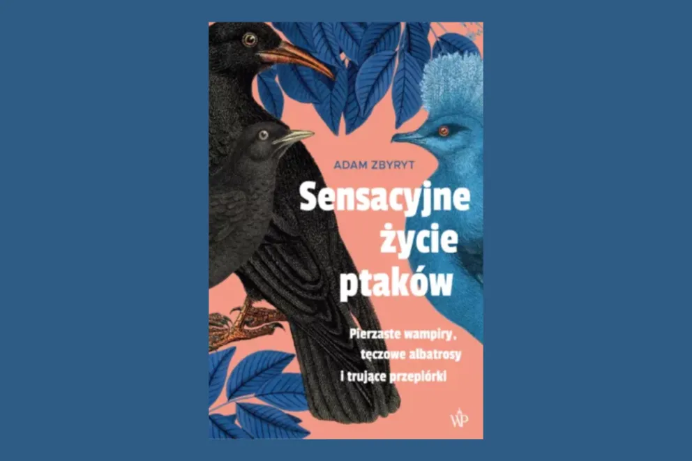 Na majówkę ptasie sekrety