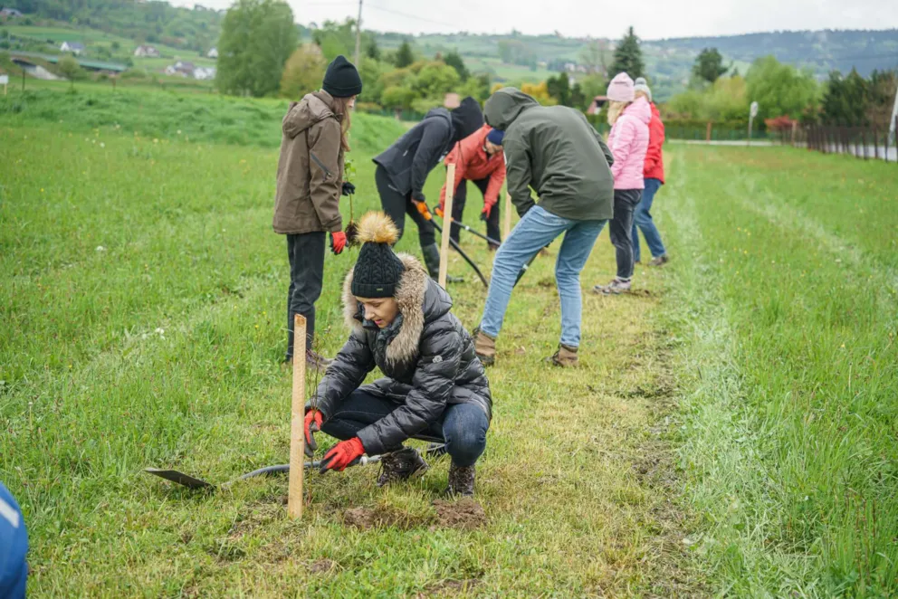 Sadzenie drzewek w Sądeckich Wodociągach