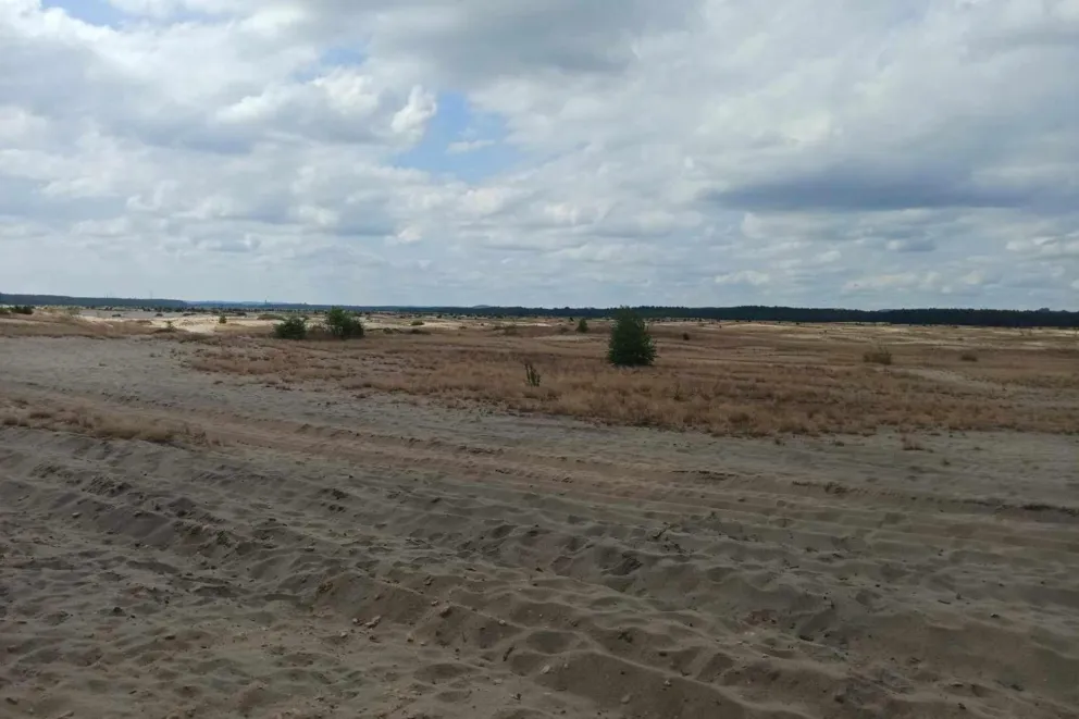 Niebezpieczny incydent podczas skoków spadochronowych: wylądowali na prywatnych zabudowaniach