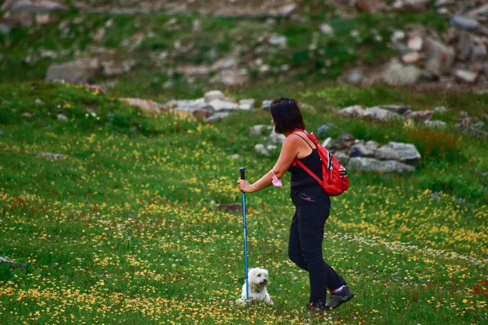 Nordic Walking aktywuje aż 90 proc. mięśni ciała