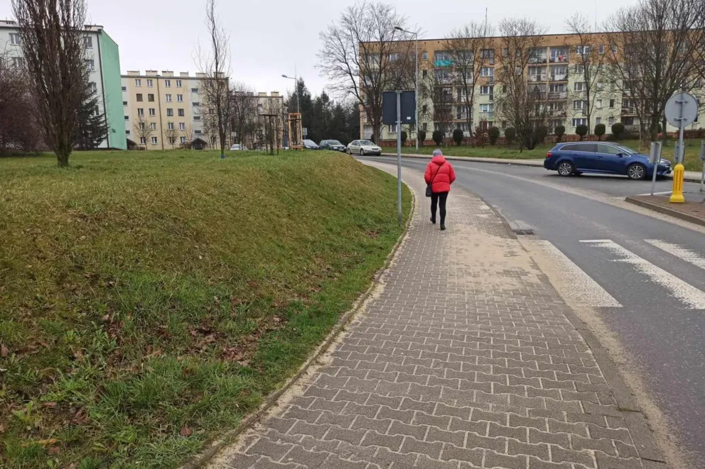 Nowy psi park w Chrzanowie będzie, ale z poślizgiem