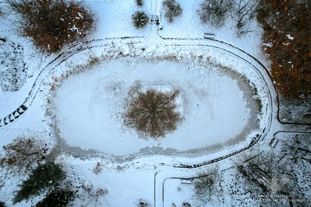 Śnieżne spacery i świat tropików. Dlaczego warto odwiedzić krakowski Ogród Botaniczny zimą? 
