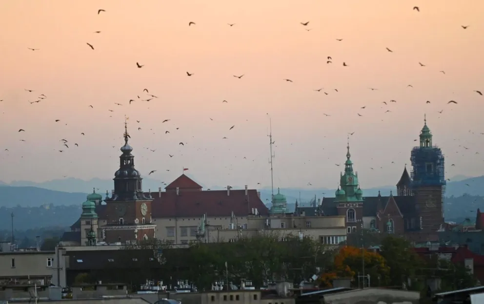 Kraków: nie będzie nowego prezesa kontrowersyjnej spółki miejskiej