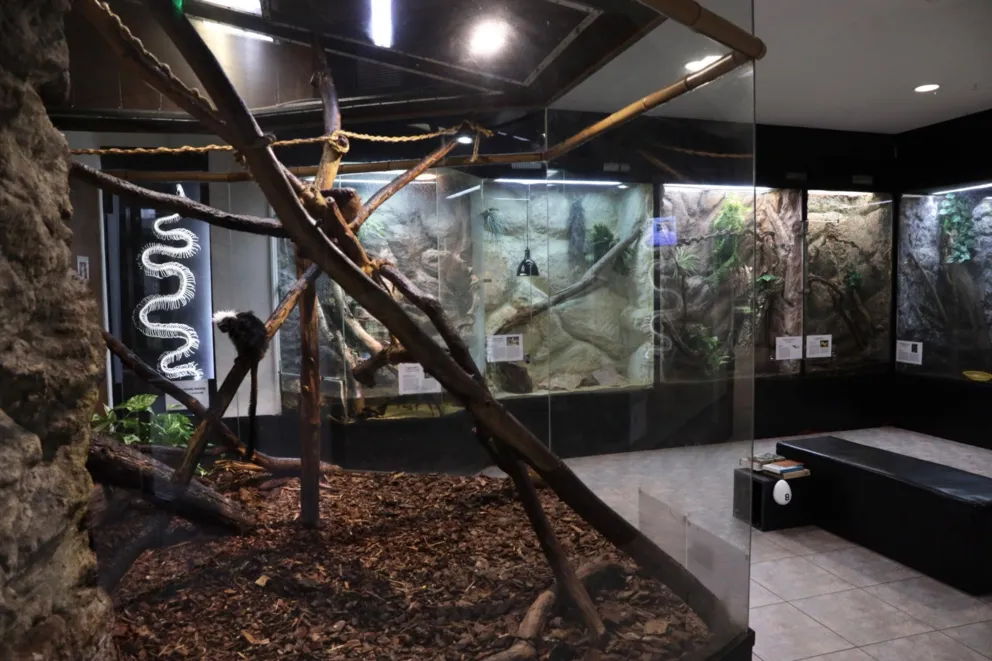 Marka Radia Kraków dla Muzeum Przyrodniczego i Fundacji Imago Mundi