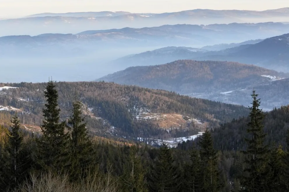 Trudne warunki na szlakach w Beskidach; wzmaga się wiatr