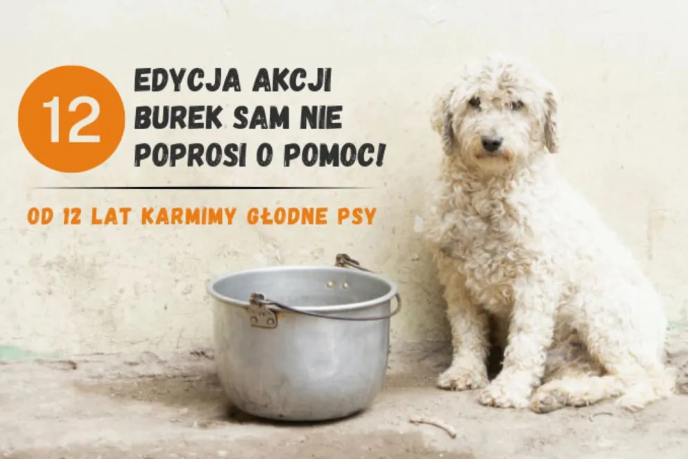 Burek sam nie poprosi o pomoc – robimy to w jego imieniu! 