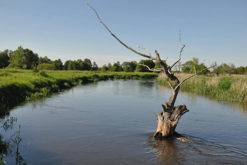 Hydrogeolog: Stan polskich wód może być gorszy niż przedstawiają to oficjalne dane