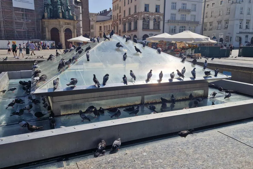 Od dwóch lat nie działa, ale przynajmniej będzie czysta