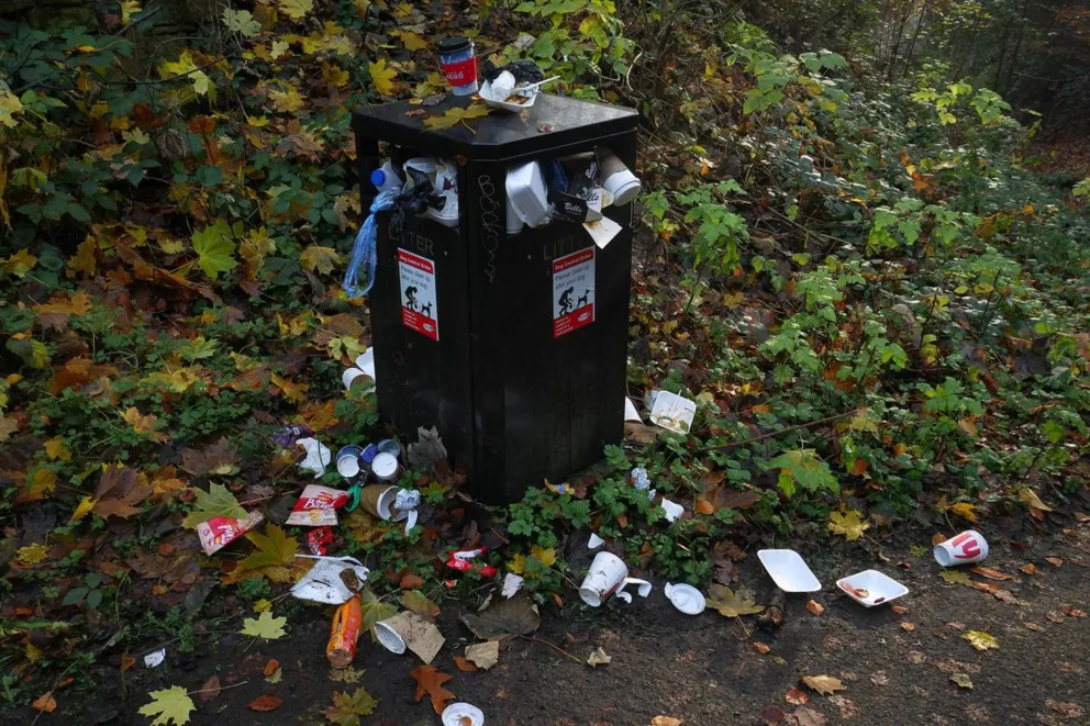 Krynica Zdrój. Orzeł przypomni, że śmieci nie latają