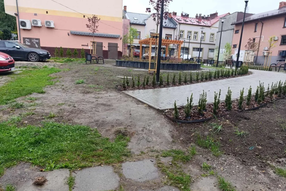 Nowe nasadzenia, pergola i chodnik prowadzący... w błoto. Tak wygląda Skwer Róży w Chrzanowie