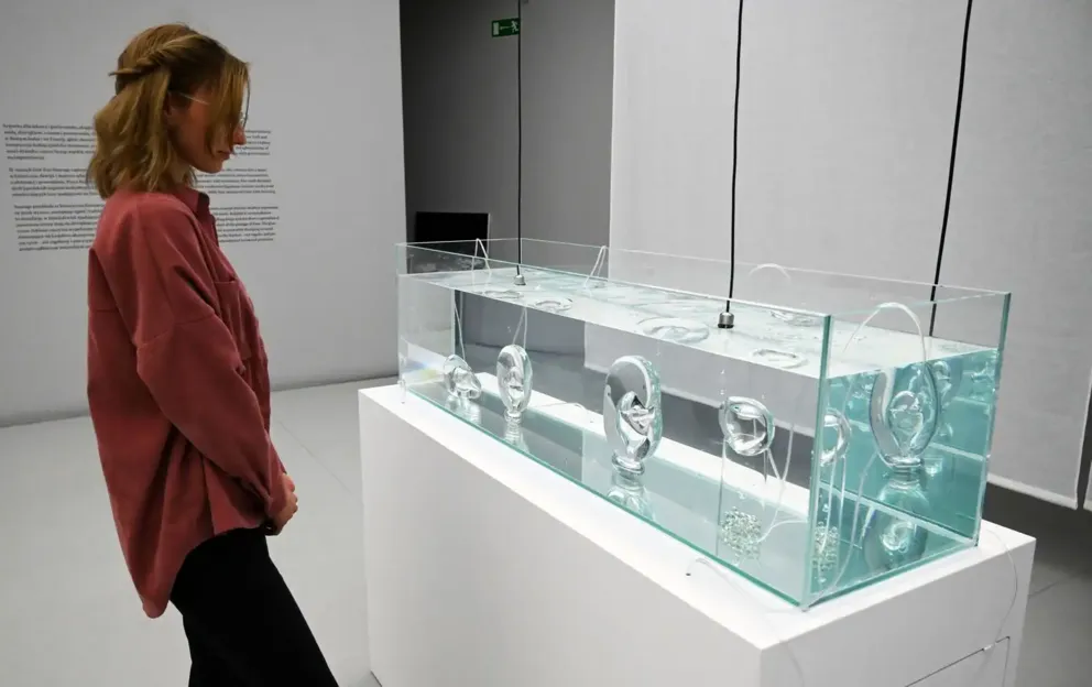 Prace japońskich artystów i polski akcent na nowej wystawie w Muzeum Manggha. ZDJĘCIA