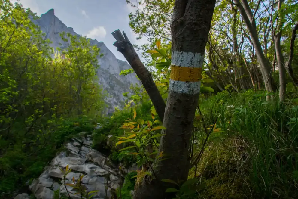 Wolontariusze znowu posprzątają Tatry. Z roku na rok jest coraz lepiej