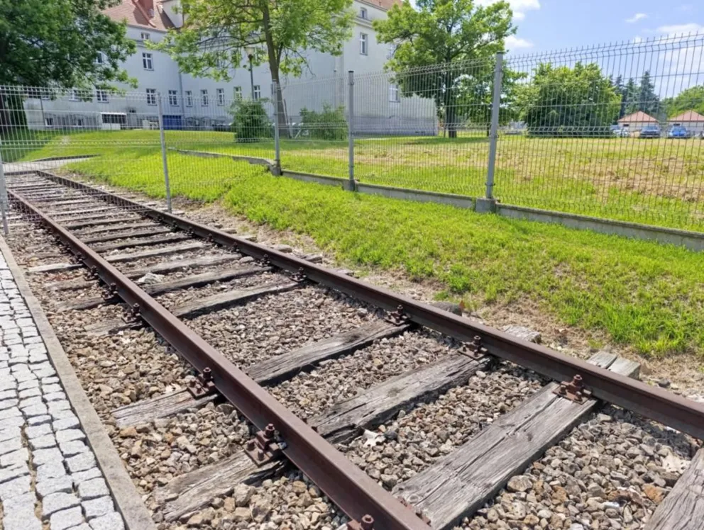 "Byłam numerem 89136". Obchody rocznicy pierwszej deportacji Polaków do Auschwitz