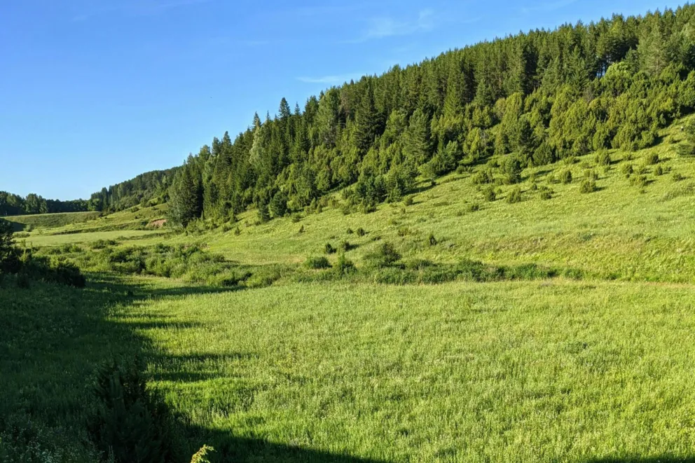 Słoneczny weekend i upalny początek tygodnia w Małopolsce. Sprawdź szczegóły