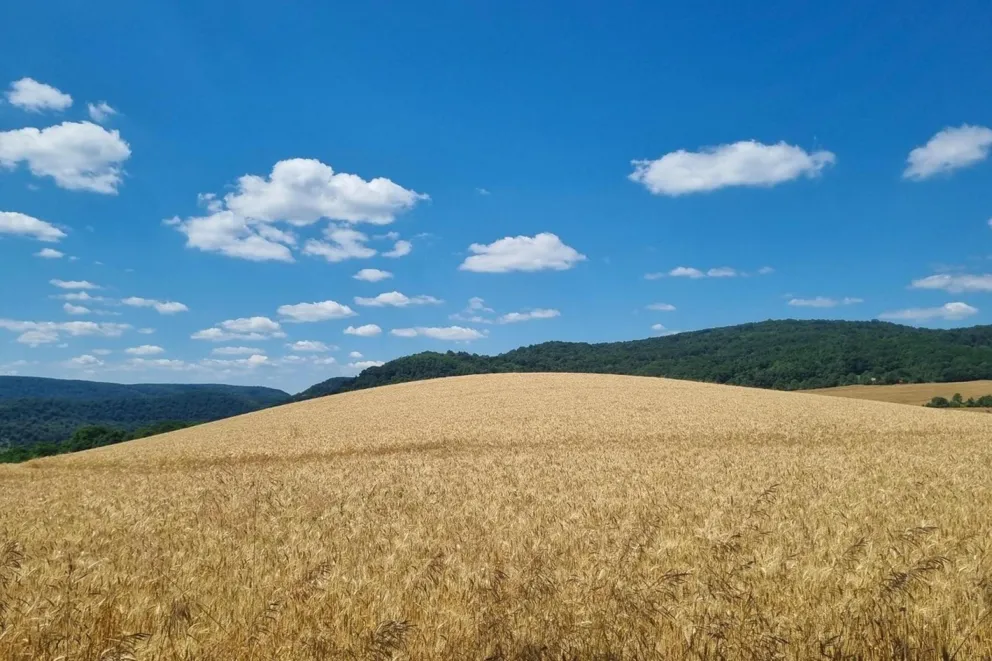 Gorąca niedziela w Małopolsce. Będą temperaturowe rekordy?