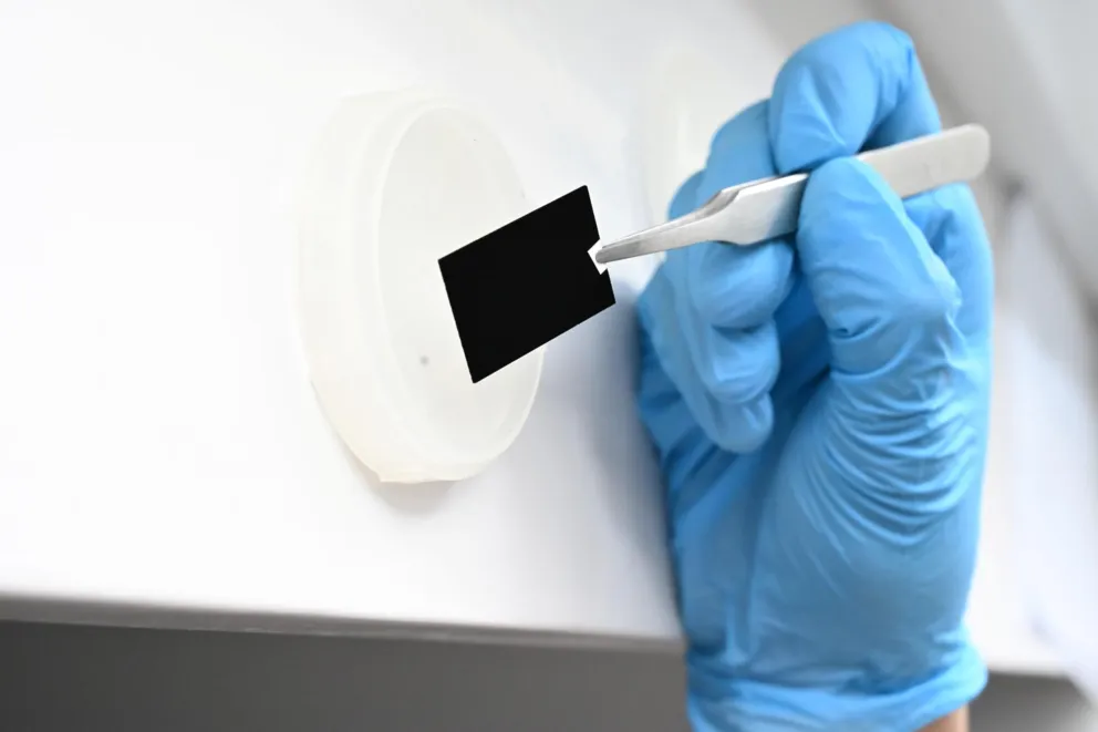 Nanomateriały wzorowane na skrzydłach motyli
