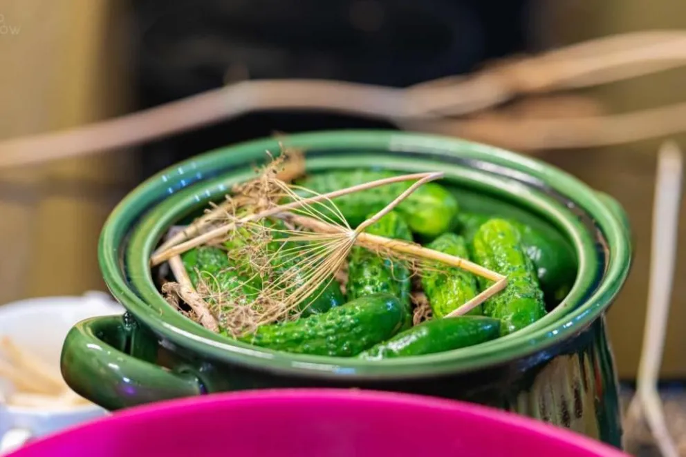Mieszkańcy Kalwarii przypomną o swej specjalności. "Wyjątkowy produkt, od pokoleń związany z lokalną tradycją"