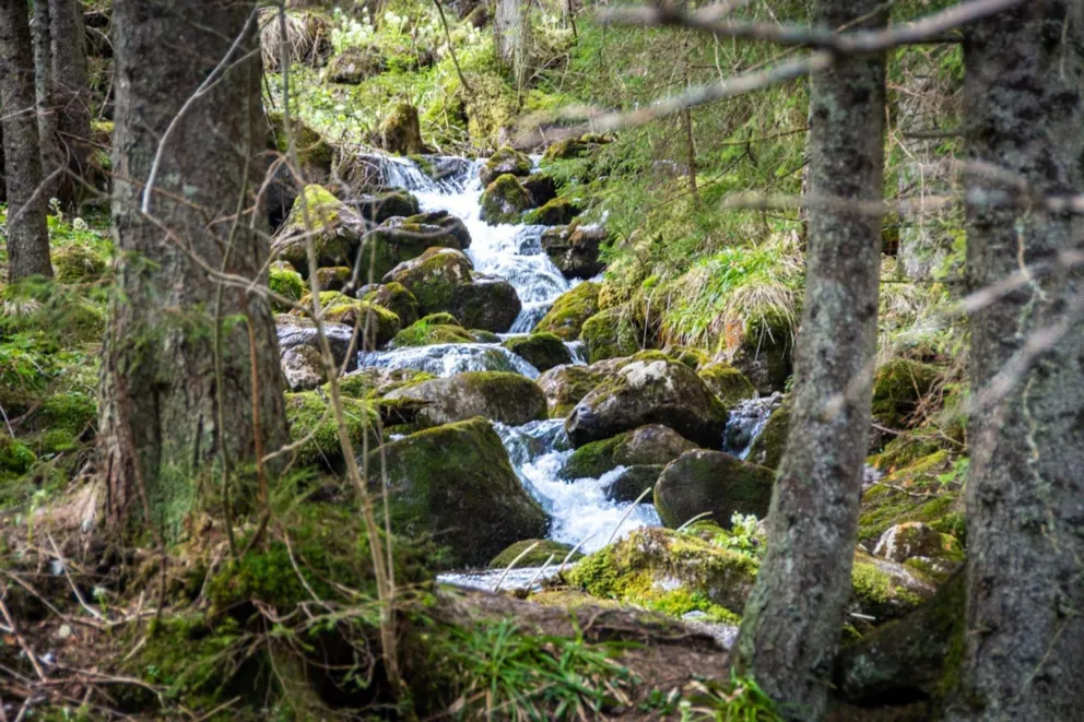 Tatry biją rekordy popularności. Ponad dwa miliony wejść na szlaki w pół roku
