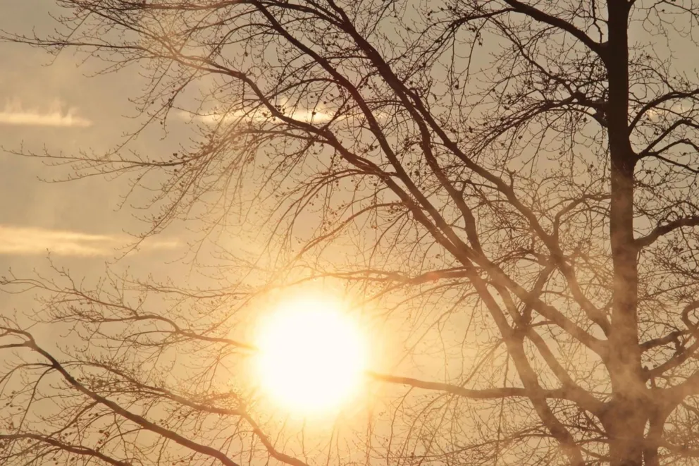 Środa słoneczna i upalna. Temperatura dojdzie do 30 stopni!