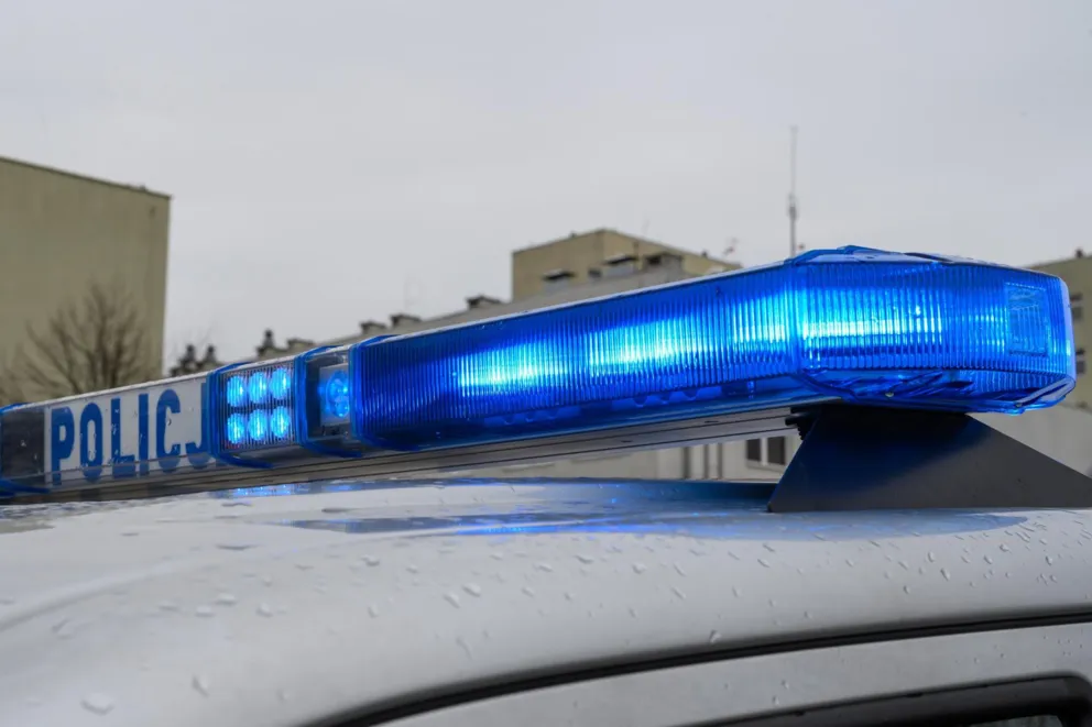 Miesiąc od śmierci psa w samochodzie. Tarnowska policja nadal nie przesłuchała podejrzewanego