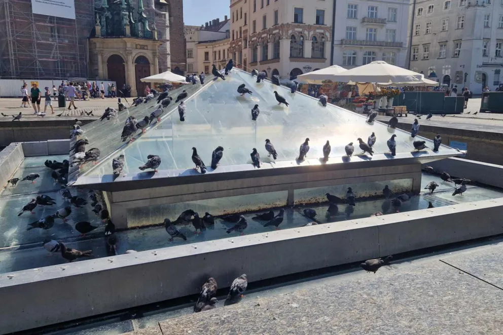 „Kryształ” znika! Kraków wybiera nową fontannę