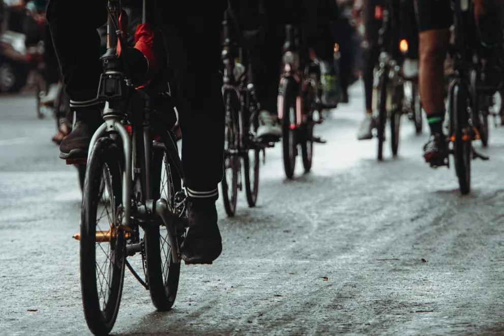 Powstanie droga dla rowerów w okolicach Bonarki, ale trzeba będzie wyciąć 72 drzewa