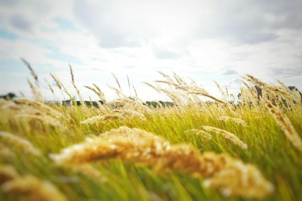 To już ostatni moment na złożenie  wniosku o fundusze z programu pomoc klęskowa