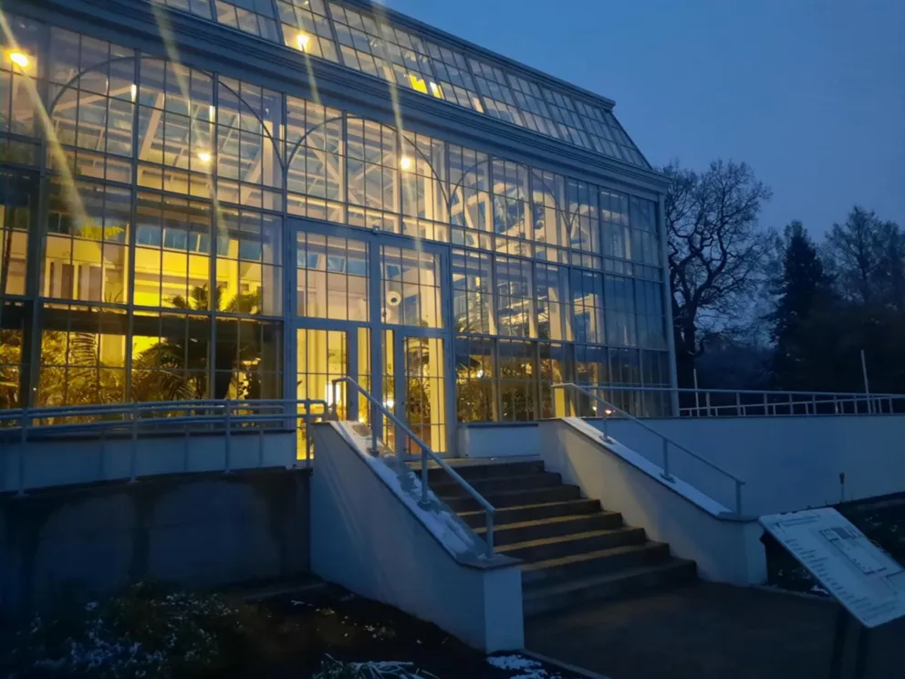Skwer Konsularny na terenie Ogrodu Botanicznego Uniwersytetu Jagiellońskiego