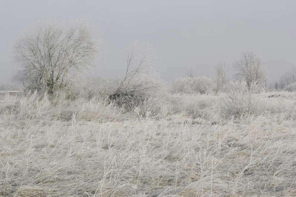 Zima w Małopolsce nie odpuściła - pada śnieg, a przed nami bardzo niskie temperatury