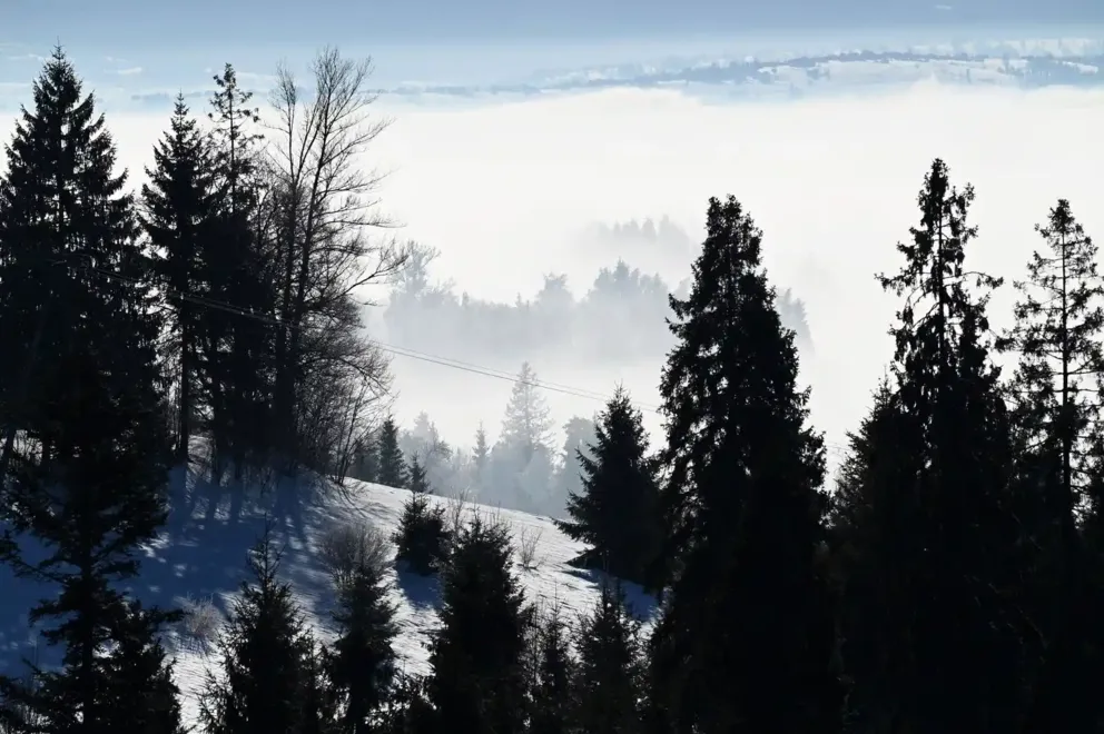 Zimowy czwartek w Małopolsce. Opady śniegu i spadek temperatury w nocy