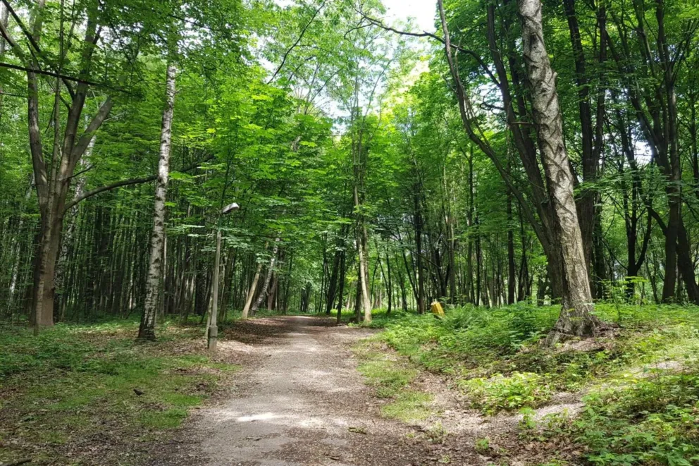 Oświęcim rozbuduje Park Pokoju za 27 mln zł
